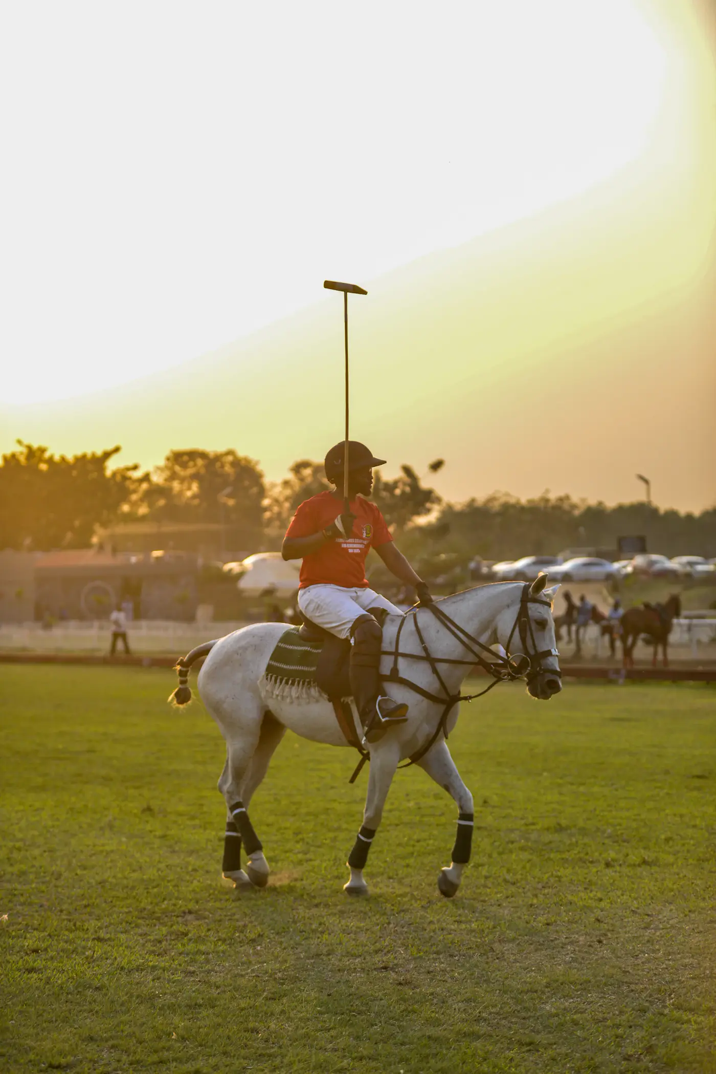 A polo player on a grey pony at sunset